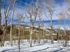 3310 S Blue Spruce Dr photo